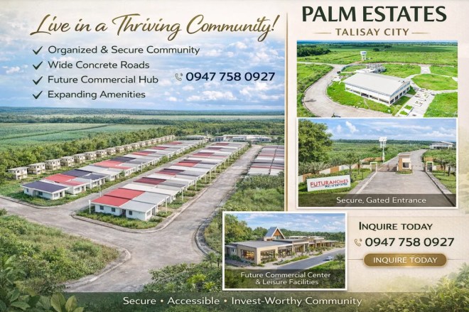Futura Homes Palm Estates gated community in Talisay City near Bacolod